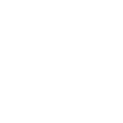 APPLE MUSIC